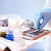New Dental Guidelines